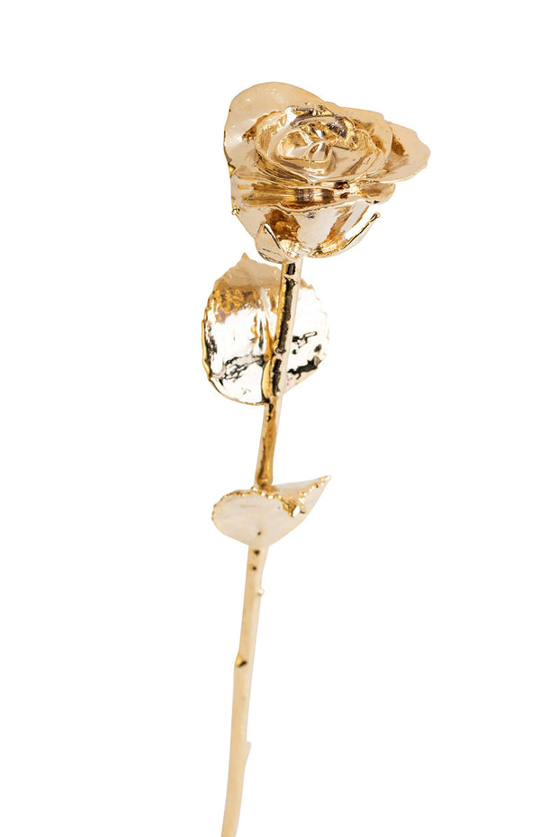 Rose In Gold Specially Crafted 24k Gold Rose – Dipped In Gold