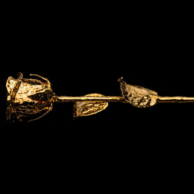 Rose In Gold Specially Crafted 24k Gold Rose – Dipped In Gold